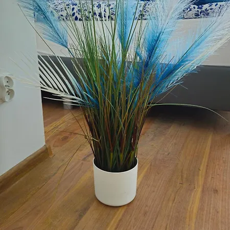 Biala Perla House Γκντανσκ