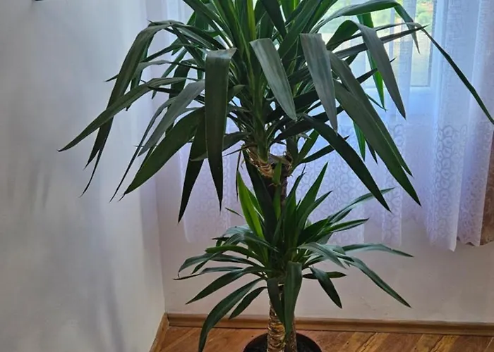 Biala Perla House Rum i privatbostad