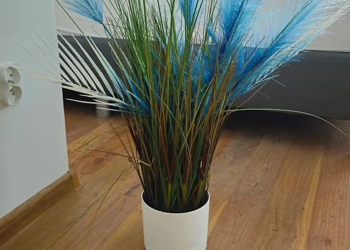 Biala Perla House Gdańsk