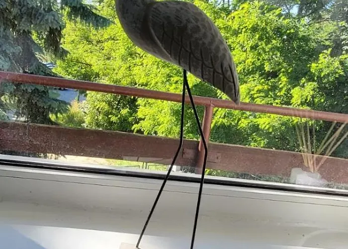 Biała Perła House * Gdańsk